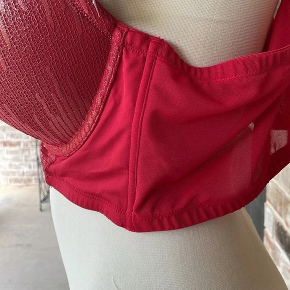 Cacique Red Boost Plunge Appliqué  Underwire Bra - Picture 7 of 13